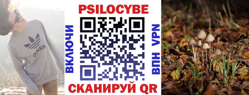 Псилоцибиновые грибы мицелий  Красновишерск 